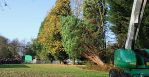 Enorme natuurtuin bij basisschool Roosendaal
