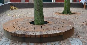 Filmblikken in boomroosters voor historisch Dordrecht