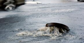 Nederlandse steden niet klimaatbestendig