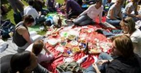 CleanPicnic-kleed houdt park schoon