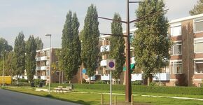 Metalen kunstboom