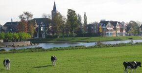 Natuurgebied nabij centrum Hardenberg