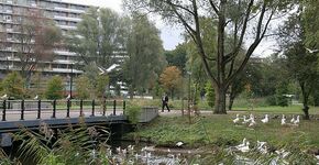 Gemeenten bezuinigen extra op openbaar groen