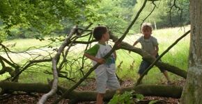 Vuilstort Tiel wordt natuurspeelplek