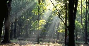 Arnhem pakt licht- hinder Veluwe aan