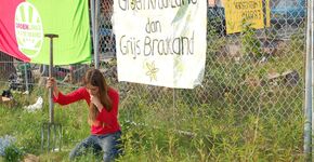 Guerrilla gardening in openbaar groen