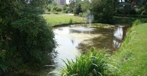 Leerlingen participeren bij herinrichting park