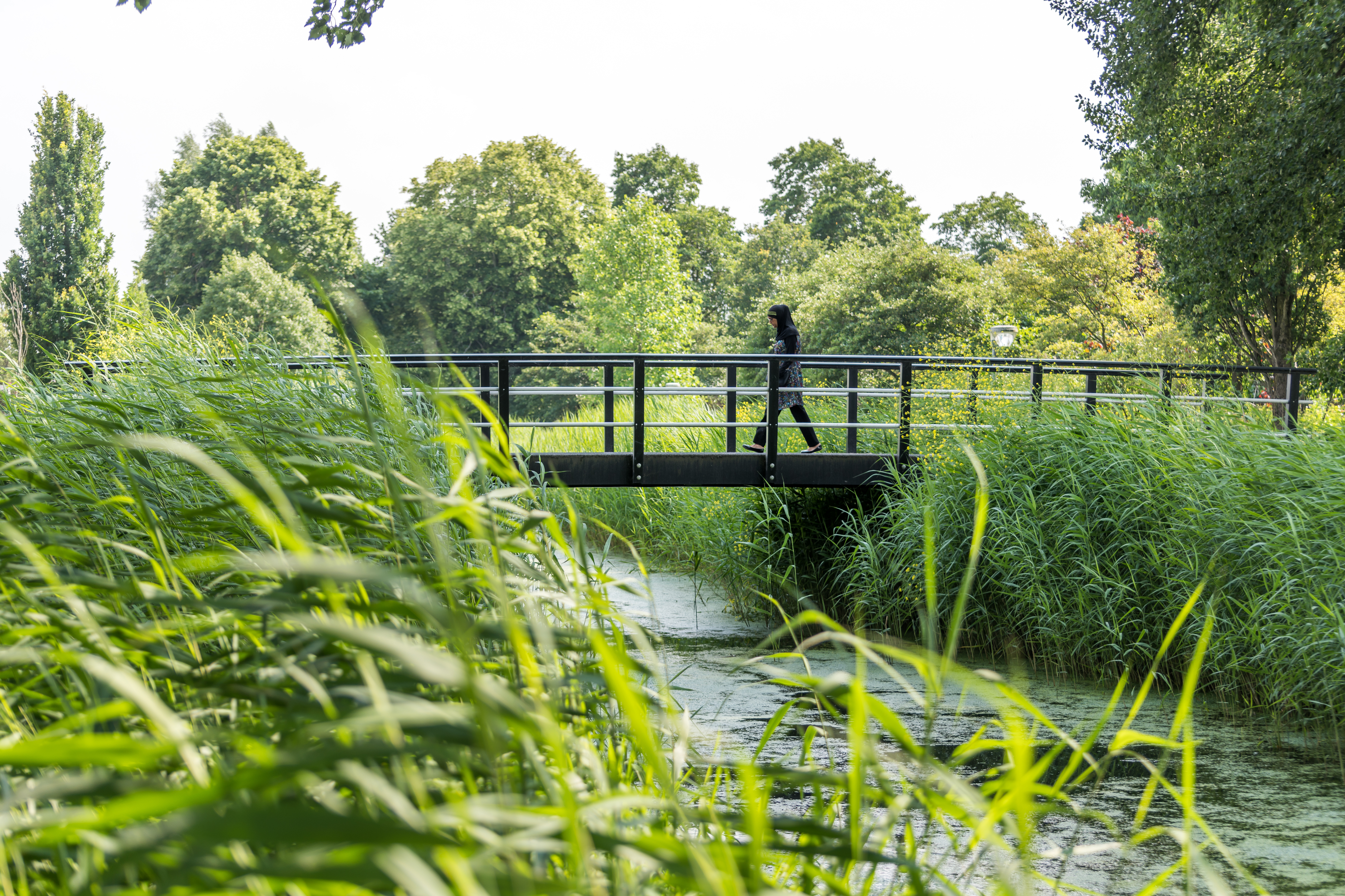 brug composiet
