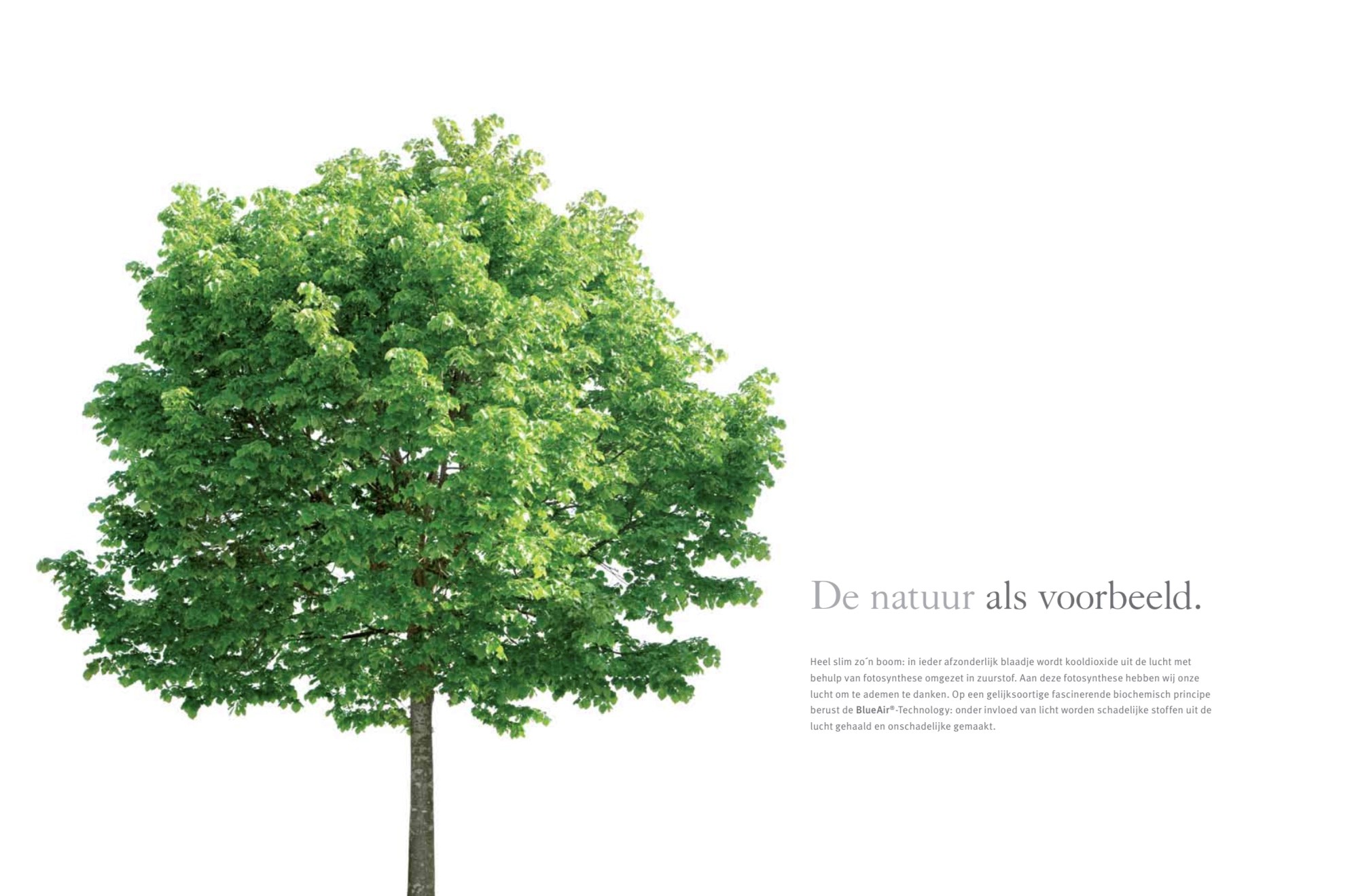 natuur als voorbeeld