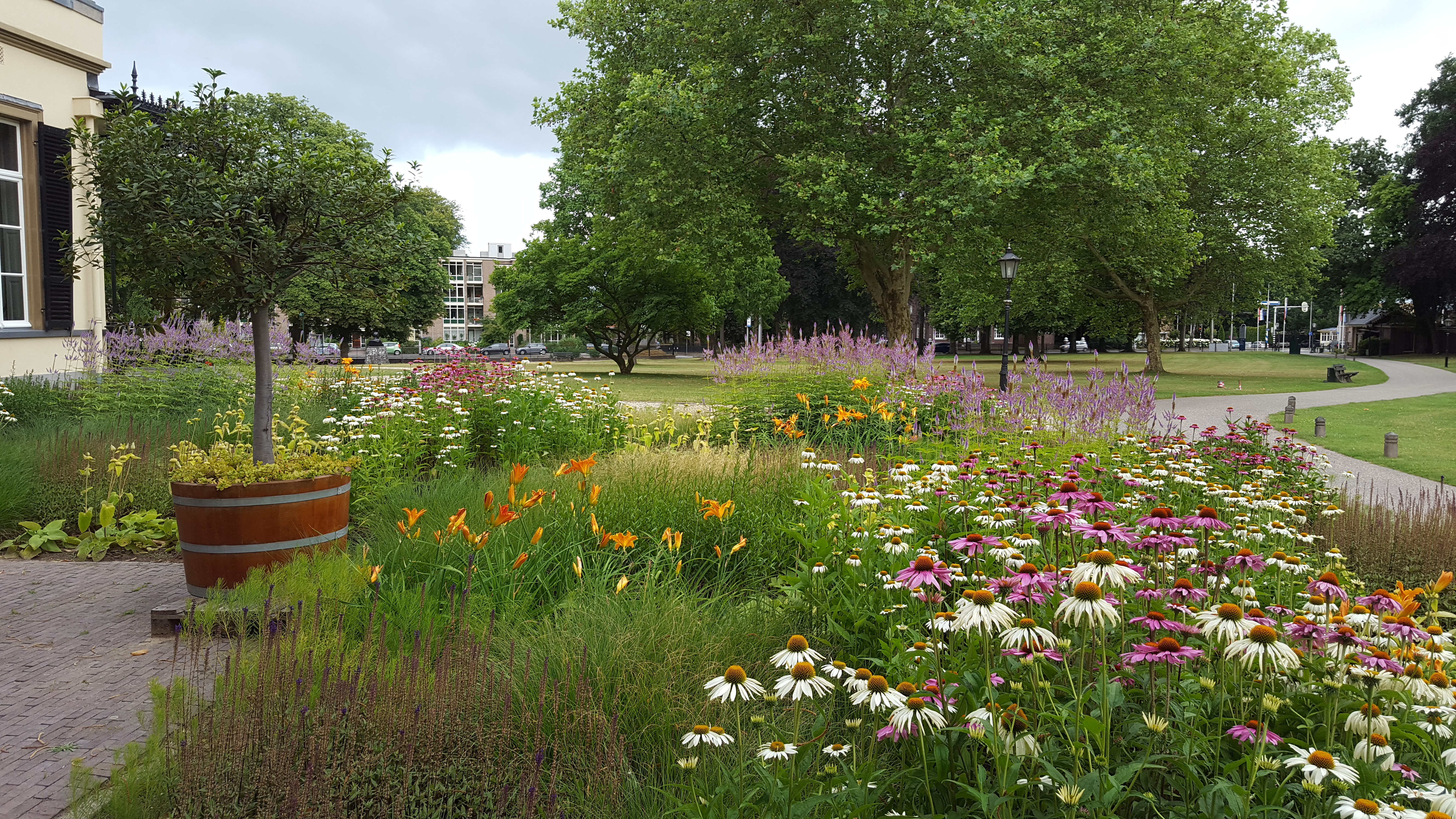 vaste planten woonwijk