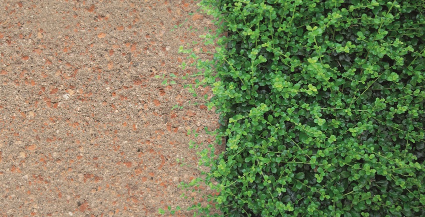 Reduce. Reuse. Recycle. Nieuwe producten met o.a. gebakken klinker afval