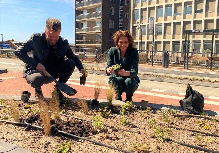 Rijnstraat Arnhem groene bushalte