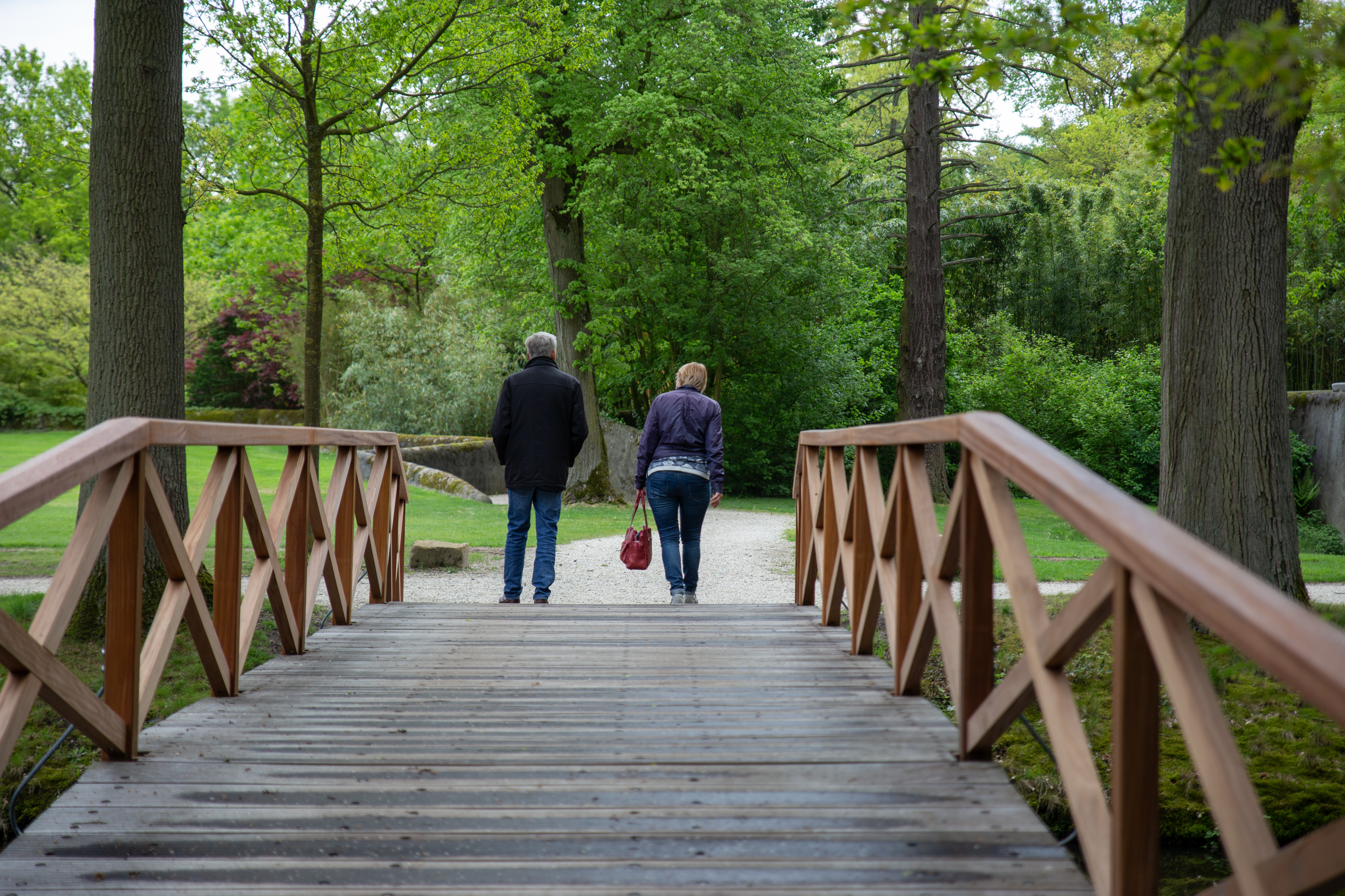 bruggen tropisch hardhout