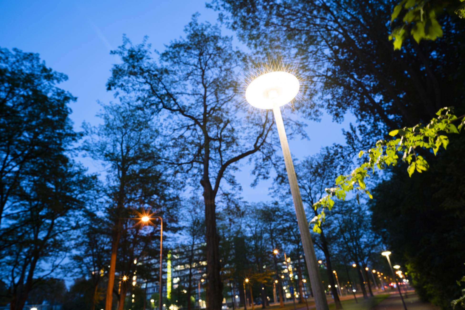 Crow openbare verlichting