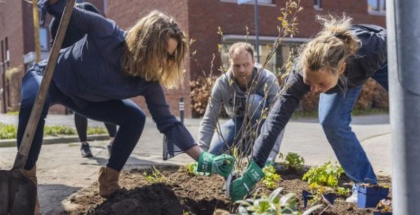 Groene buurtjes Breda