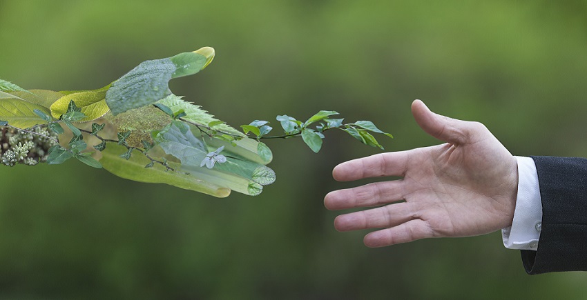 Meer ruimte voor groen in gemeenten is nog niet vanzelfsprekend